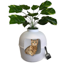 Premium Covered Cat Litter Box