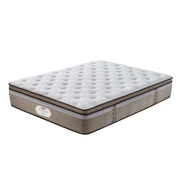Euro Top Natural Latex Sleepwell Bed Mattress Price For Sale Online