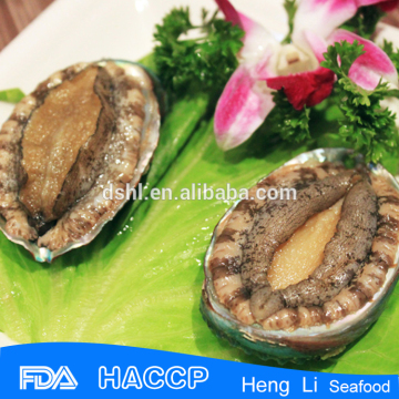 Factory price 100% natural frozen green abalone