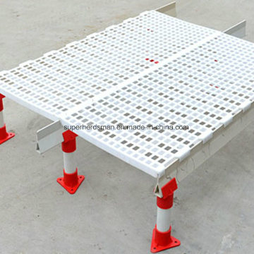 Plastic Slat and Support for Chicken Broiler From Super Herdsman