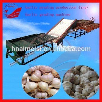 High Quality Garlic Sorting Machine For Sale