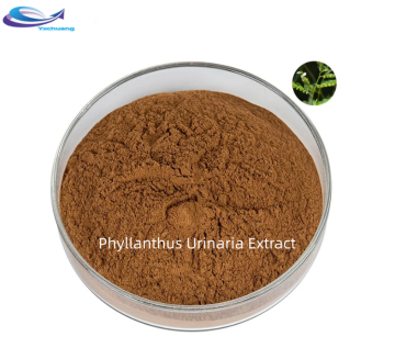 Sale Pure Natural Phyllanthus Urinaria Extract Powder 10