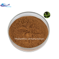 Sale Pure Natural Phyllanthus Urinaria Extract Powder 10