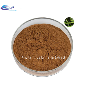 Sale Pure Natural Phyllanthus Urinaria Extract Powder 10