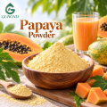 مسحوق البابايا للمشروبات الاستوائية ومنتجات الحلوى