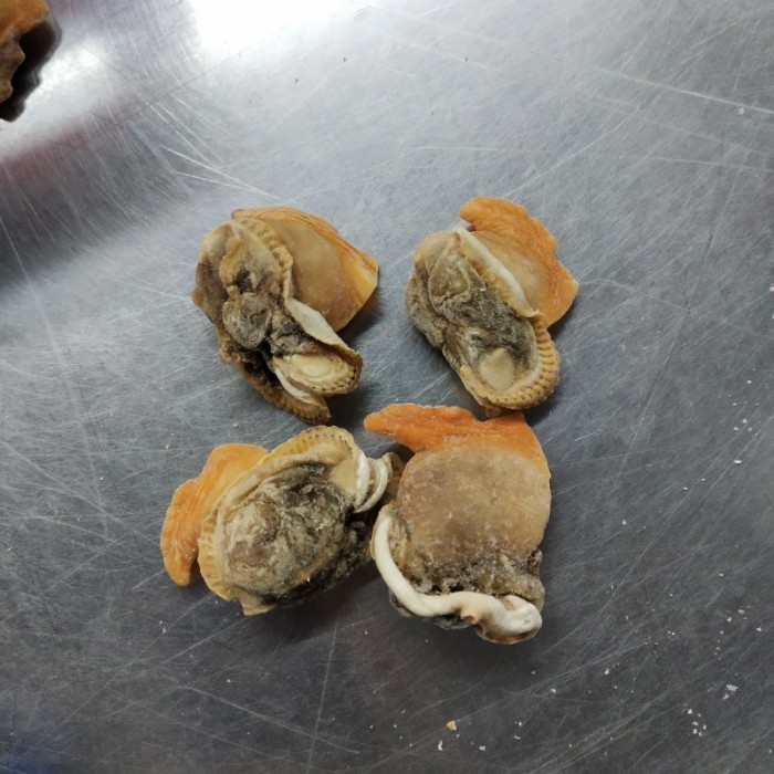 Gefrorene Meeresfrüchte Muschelfleisch und Blut Muscheln