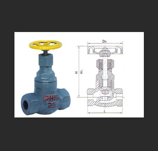 Internal Thread Cast Steel Liquid Ammonia Globe Valve