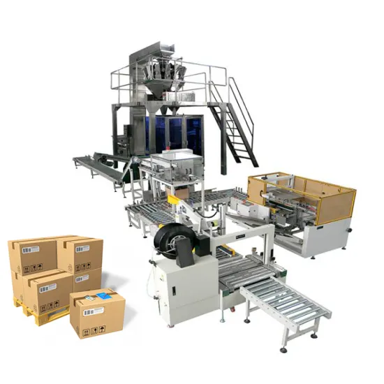 Robotic Case Packer For Pouch Packaging
