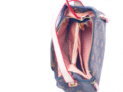 Second Hand The Single Shoulder Bag For Sale