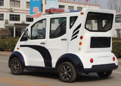 Sightseeing patrol electric vehicle