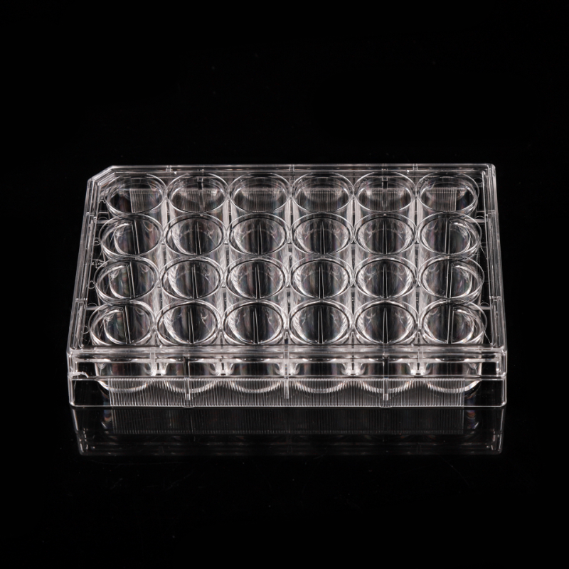 Nontreated 24 well Cell Culture Plates China Manufacturer