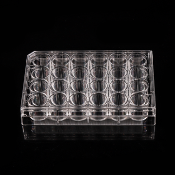 Placas de cultivo celular de 24 pocillos no tratadas