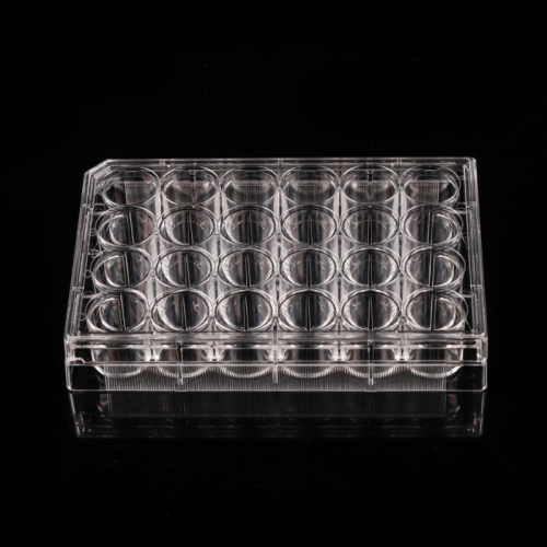 Placas de cultivo celular de 24 pocillos no tratadas