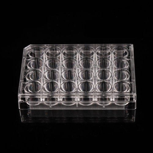 Nontreated 24 well Cell Culture Plates China Manufacturer