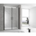 pivot shower door with 2 door panels