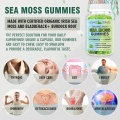 Immune Support Vegan Burdock Root Sea Moss Gummies