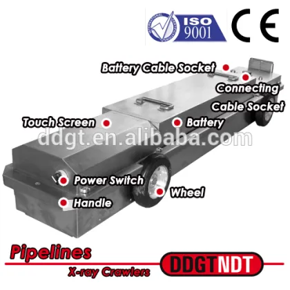 DGT-1000D