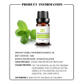 Aceite esencial orgánico de menta de menta de aromaterapia al por mayor de 10 ml