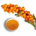 Sea Buckthorn Berry Powder Nutritional Benefits