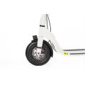 European Certificated Two Wheels Electric Brake Scooter