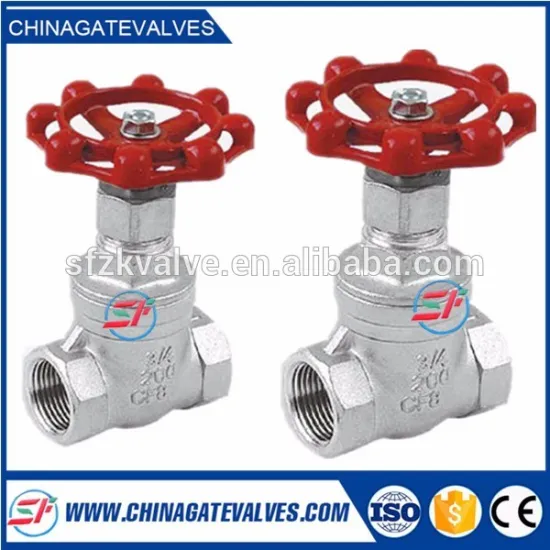 stainless steel ss304 thread Globe Valve made in China