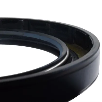 BAUM4SL Steering Gear Box Oil Seals in Sealed Box Packaging