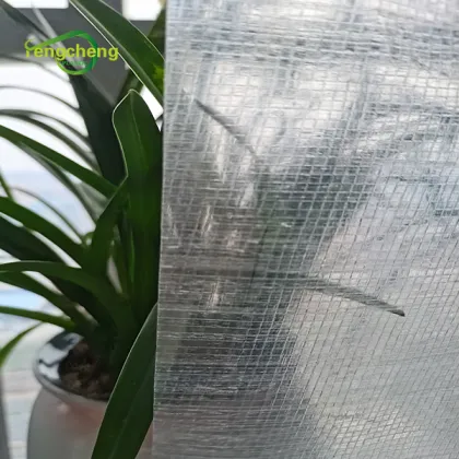 PE fruit orchard Chile cherry covers