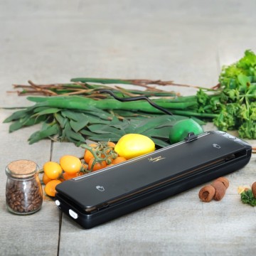 Compact Vacuum Food Sealers for Picnics and Travel