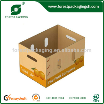 FRUIT CARTON BOX