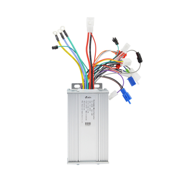 Electric Bike Conversion Kits: 36V/48V, 1000W, Ebike Controllers for Brushless Electric Tricycles