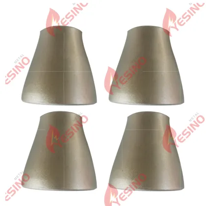Titanium Concentric Reducer Titanium Fitting