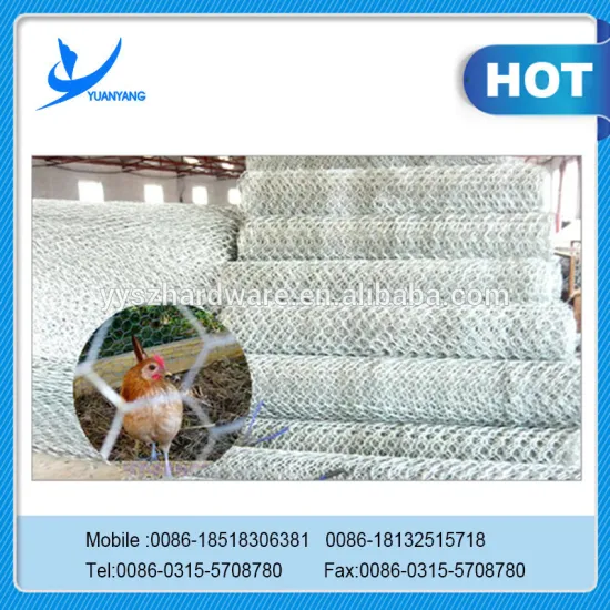 Supply Hot Dipped Galvanized Hexagonal Wire Mesh