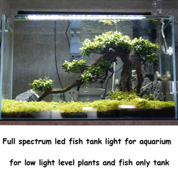 괄호가있는 높은 Ouput Aquarium 어항 조명