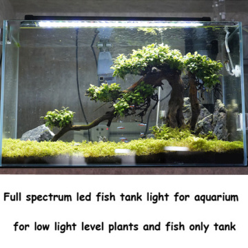 Hög Ouput Aquarium Fish Tank Light med parentes