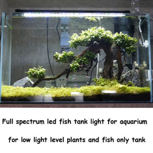 Hoher Aquarium -Fischtankleuchte mit hohem Ousputleuchter mit Klammern