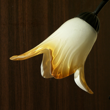 Glass Lamp Shade