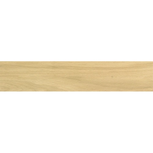 Gạch lát gỗ nhìn bằng gỗ có độ bền 200 * 1000mm cho phòng tắm