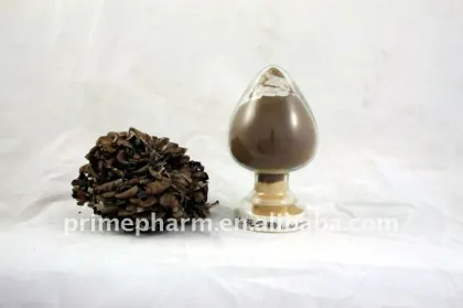 natural maitake mushroom/Grifola frondosa extract polysaccharide