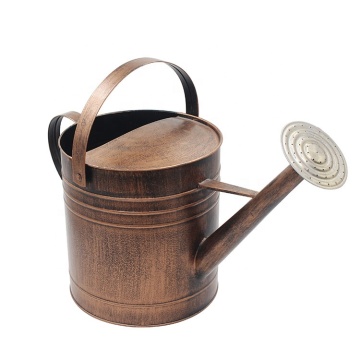 Vintage style copper color watering can