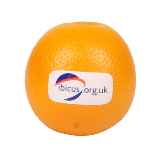 Customized Promotional Pu Foam Squishy Toys for Stress Relief