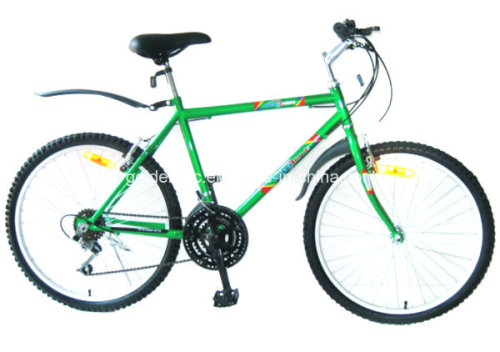 24" Steel Frame Mountain Bike (MG2401)