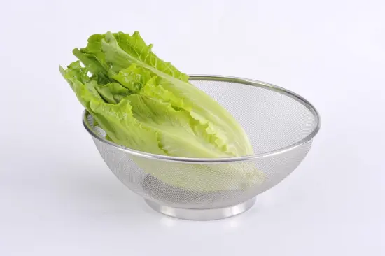 Stainless steel Mesh Colander