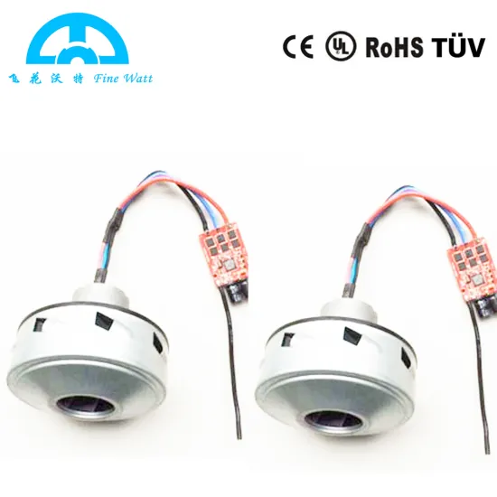 Vacuum BLDC Motor with Electronic Speed Controller