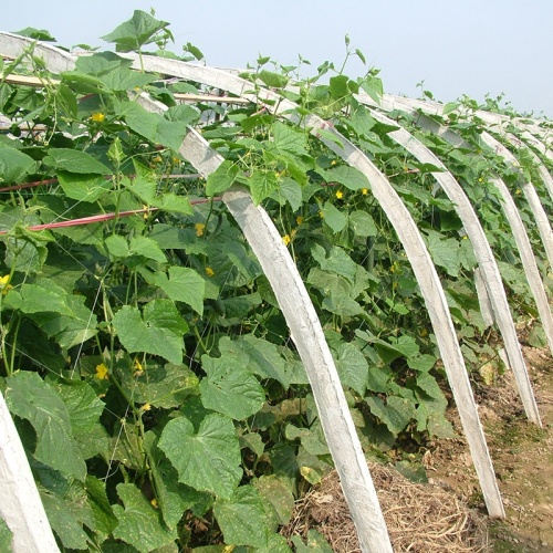 geknoopt HDPE komkommer klimnet vanaf