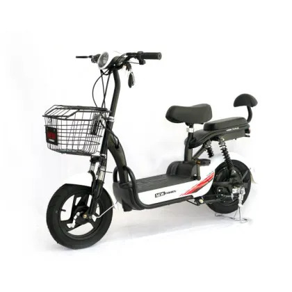 2020 Changli Electric Bicycles - Electric Bike Reviews and Information