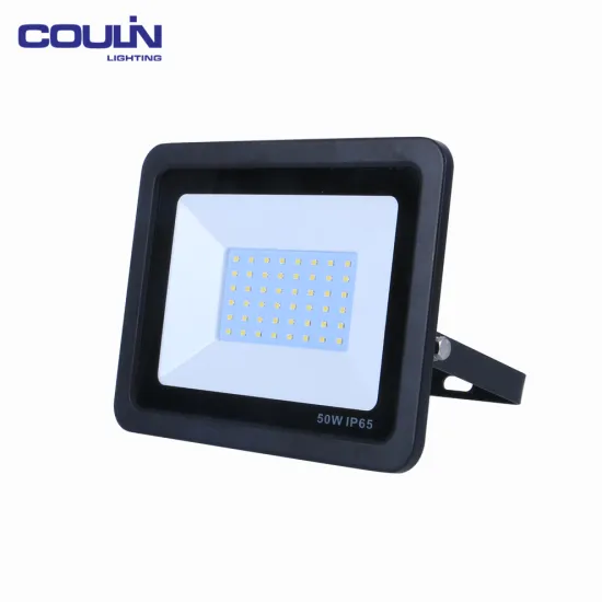 IP65 10W 30W 100W Slim driverless led flood light