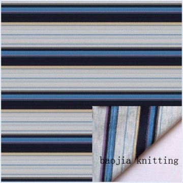 Model/Cotton Color-Strip Jersey Knitting Fabric