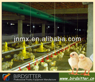 BIRDSITTER China Factory Design 50000 birds poultry farm broiler chicken rate