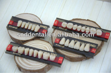 denture making teeth