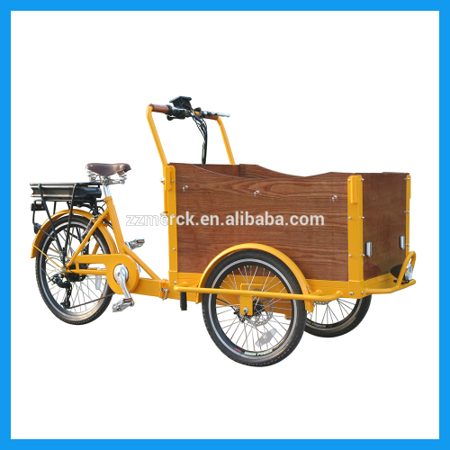 3 Wheel Utility Large Carrier Electric Cargo Tricycle